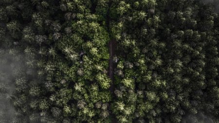 Пейзажный фон для портрета