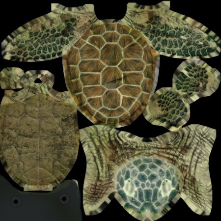 Кожа черепахи
