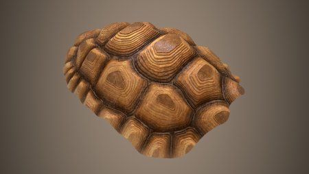 Панцирь черепахи Zbrush