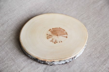 Осина структура древесины