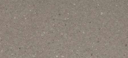 Caesarstone Shitake