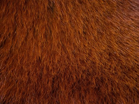 Коричневая шерсть текстура