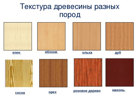 Дуб сосна клен цвета