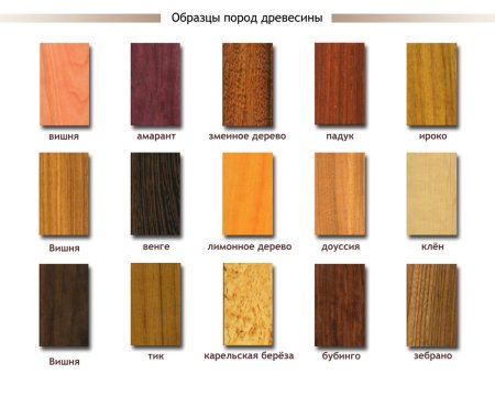 Виды древесины