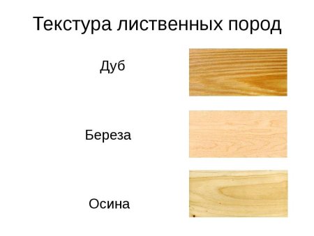 Древесина разных пород деревьев