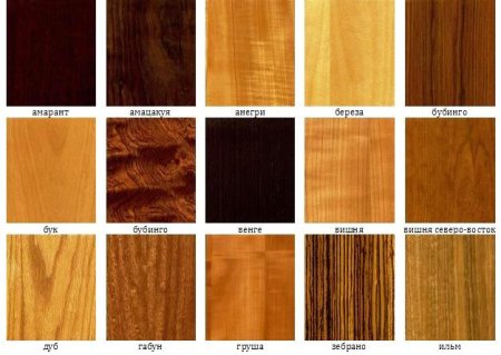 Текстура разных пород дерева (48 фото)