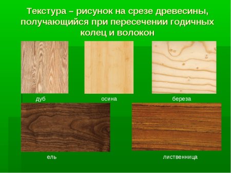 Структура разных пород дерева