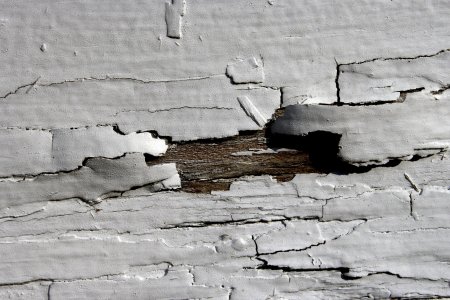 Текстура дерева с трещинами