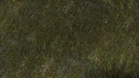 Grass texture 8k