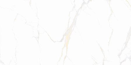 Carrara Polished 60x60
