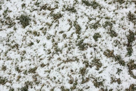 Snow texture бесшовная