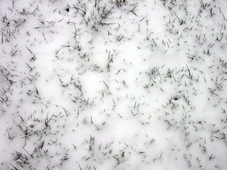 Фактура снега вид сверху