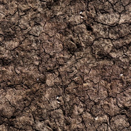 Текстура грязи