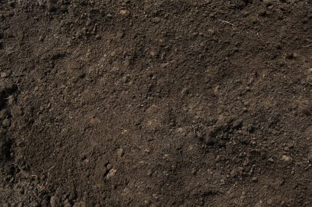 Бесшовная текстура грязи (31 фото)