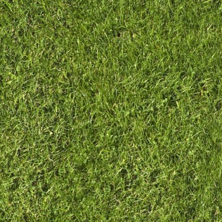 Grass texture бесшовная