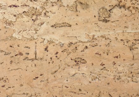 Пробковый панели стеновые Wicanders artwall