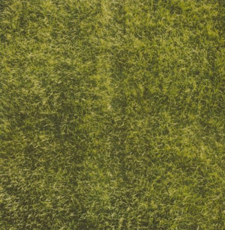 Grass texture бесшовная