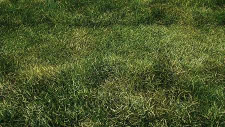 Бесшовная текстура травы высокого разрешения (44 фото)