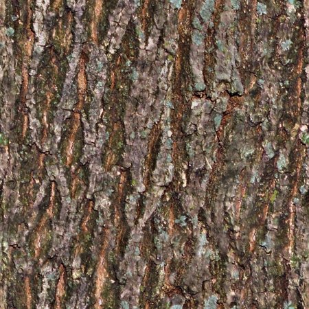 Bark seamless