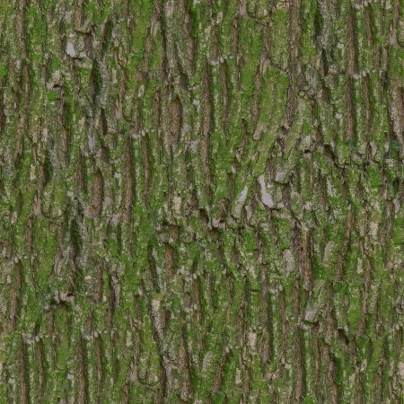 Bark seamless