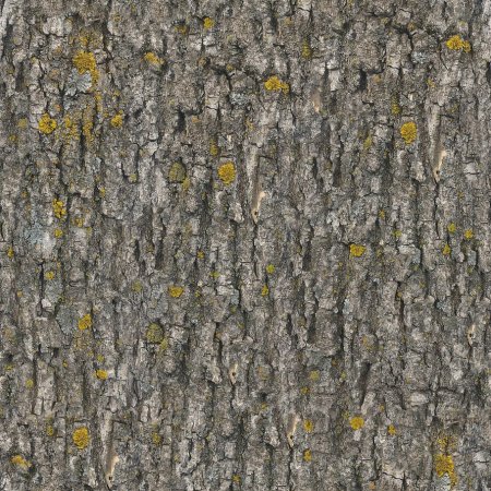 Бесшовная текстура коры дерева (48 фото)