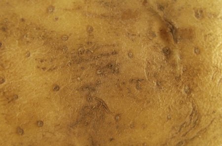 Картофельная кожура текстура