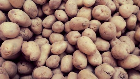 Бесшовная текстура картошки (34 фото)