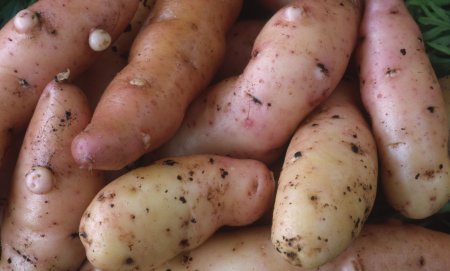 Valheim Potato textures