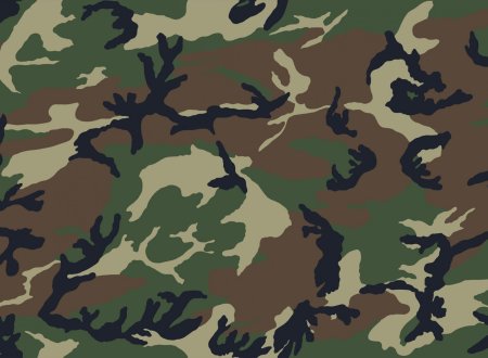 Военный камуфляж