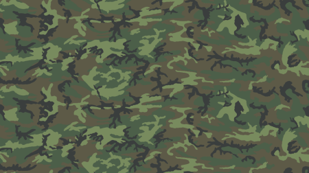 Камуфляж Brown ERDL