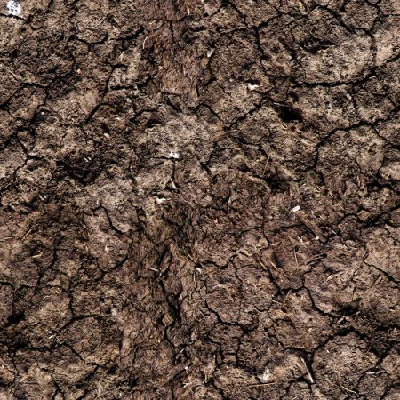 Текстура земли