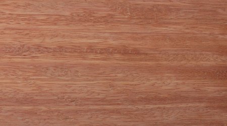 Древесина эвкалипт Eucalyptus шпон