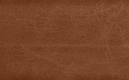 Натуральная кожа Elite 76759