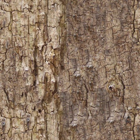Spruce Bark texture бесшовная