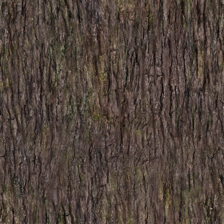 Bark texture бесшовная