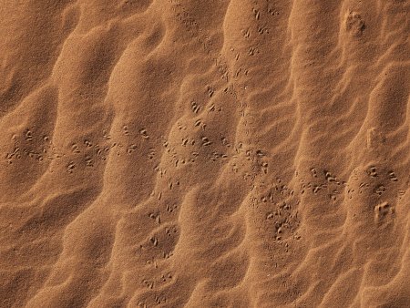Бесшовная текстура песка 4к (32 фото)