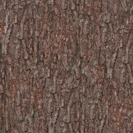 Spruce Bark texture бесшовная