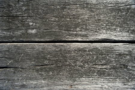 Текстру АСТАРОГО дерева