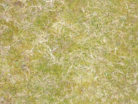 Бесшовная текстура сухой травы (44 фото)