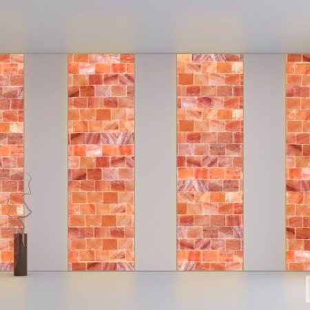 Himalayan Salt Wall