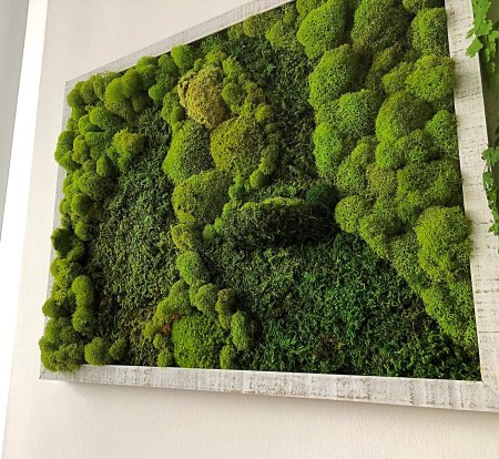 Moss Green / мох стабилизированный
