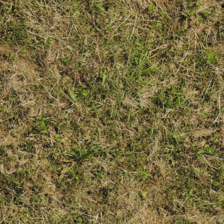 Grass texture 8к
