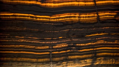 Onyx Wave