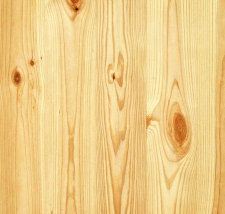 Фактура дерева сосна