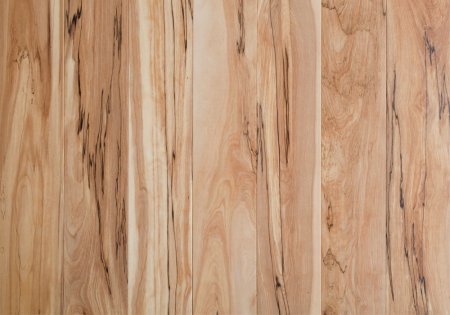Magestik Floor береза черная