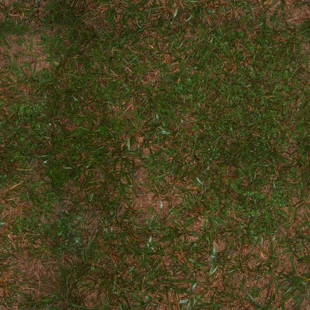 Grass texture бесшовная