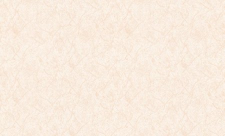 Обои Zambaiti Trussardi 5 z21833