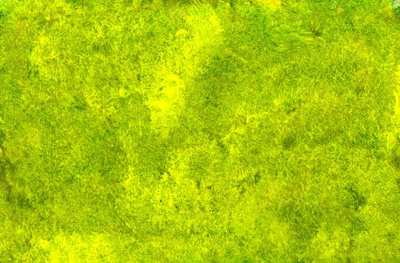 3ds Max газон hq grass