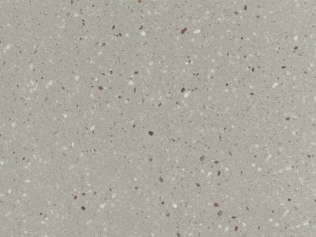 Staron sg428 sanded Goose