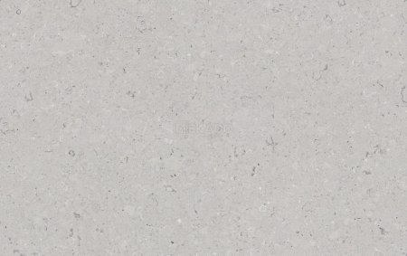 Caesarstone 4130 Clamshell